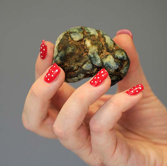 Magic-Truffels-in-hand